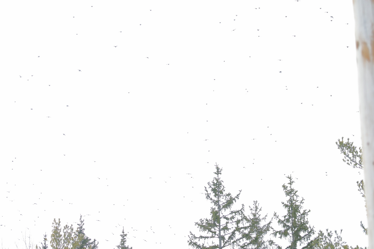2023-02-19-10-56-03_v1.JPG