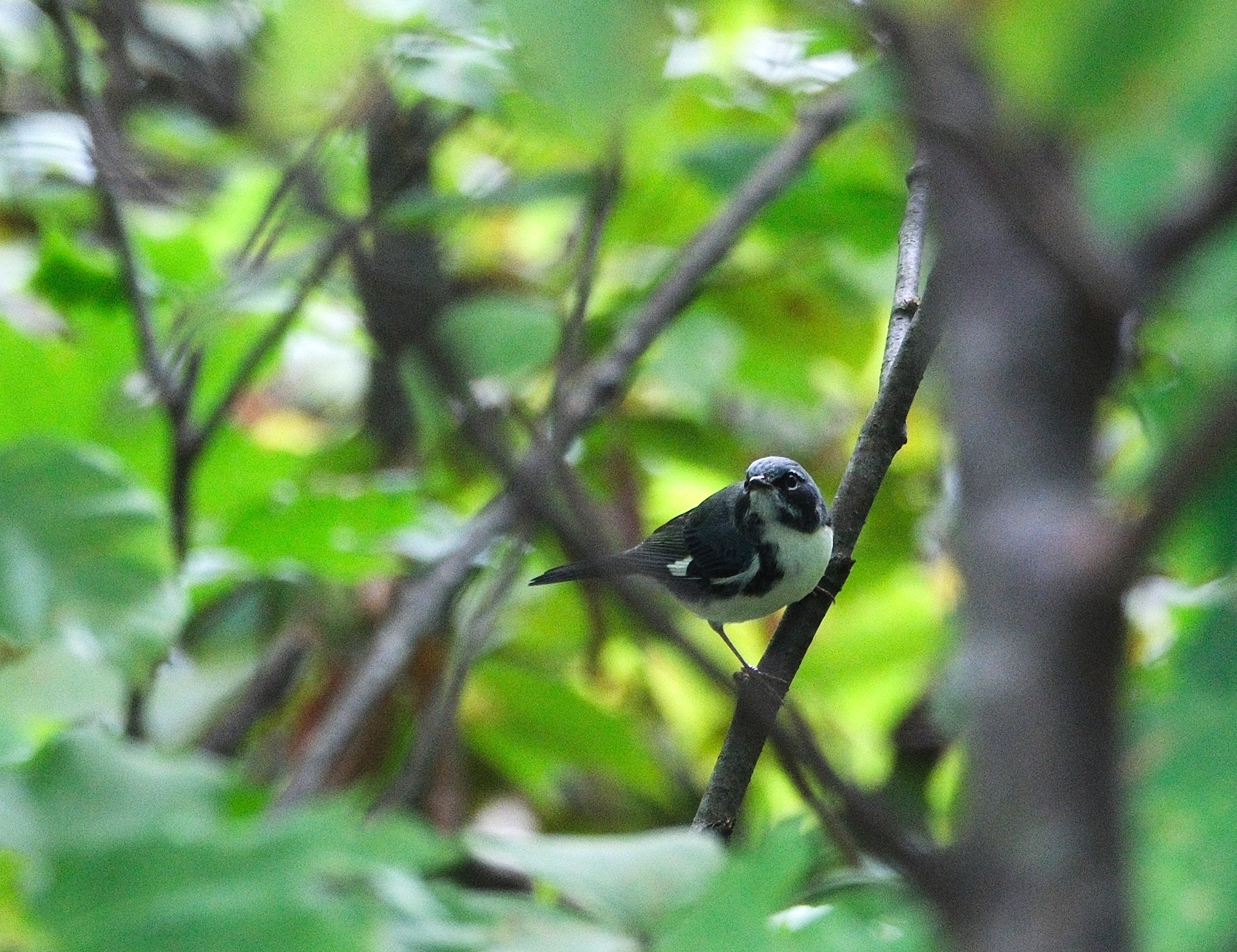 DSCF5198.jpg