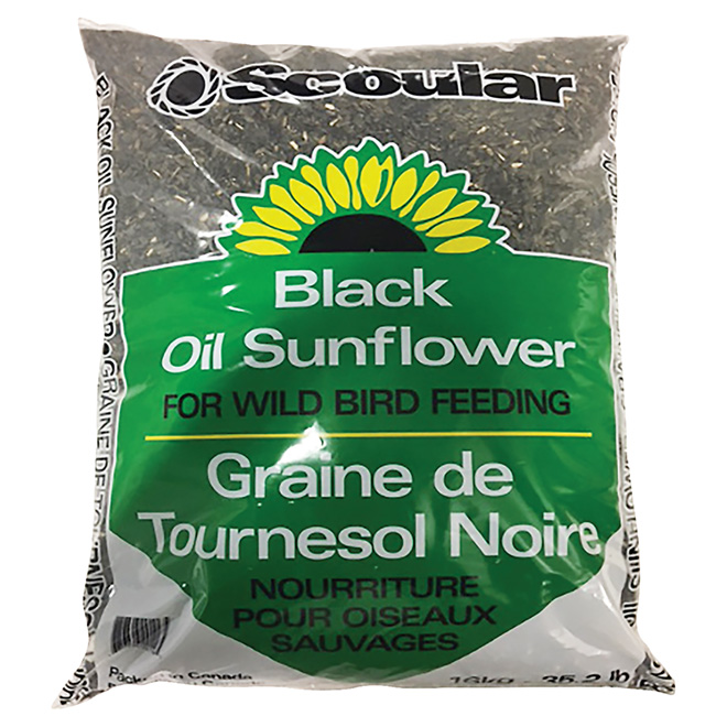 Tournesol